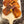 Load image into Gallery viewer, Fish rotti